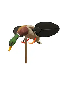 Appelant Canard Colvert Mâle à Aile Tournante Mojo