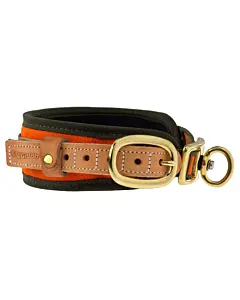 Collier Pour Chien de Sang Orange Fluo Niggeloh