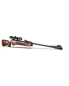 Carabine Remington Express Bois Calibre 4.5 MM 19,90 Joules