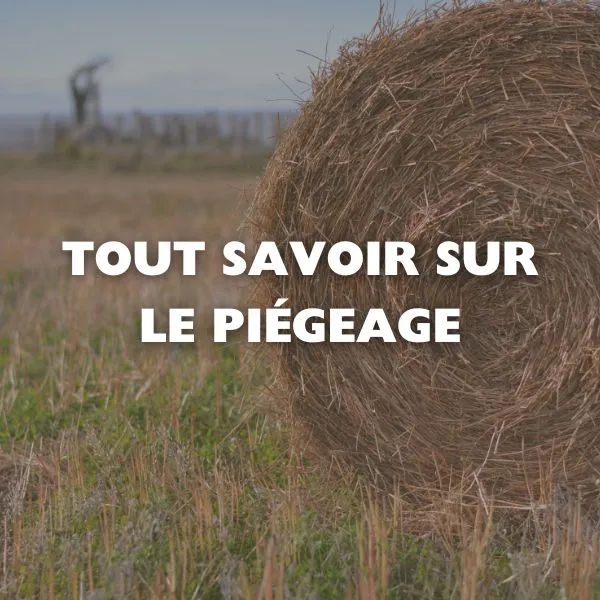Contrôler la Faune Nuisible : Tout Savoir sur le Piégeage 
