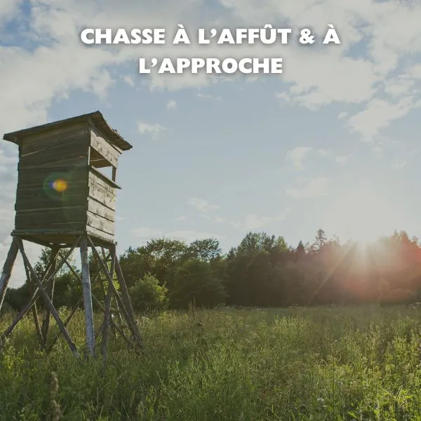 Chasse à l'affût et à l'approche : Quels équipements choisir pour optimiser vos chances de succès ?