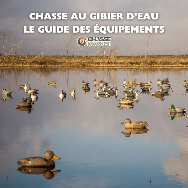 Le Guide des Équipements pour la Chasse au Gibier d'Eau à la Hutte