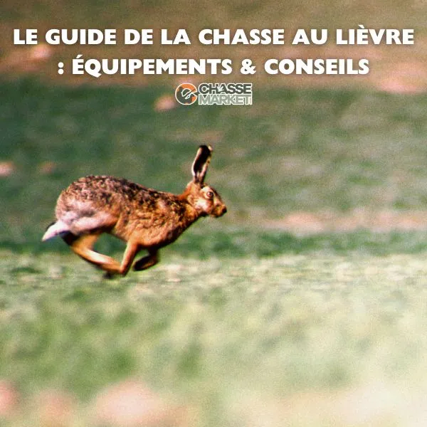 Chasse au Lièvre : Techniques, Équipements et Conseils pour une Saison Réussie