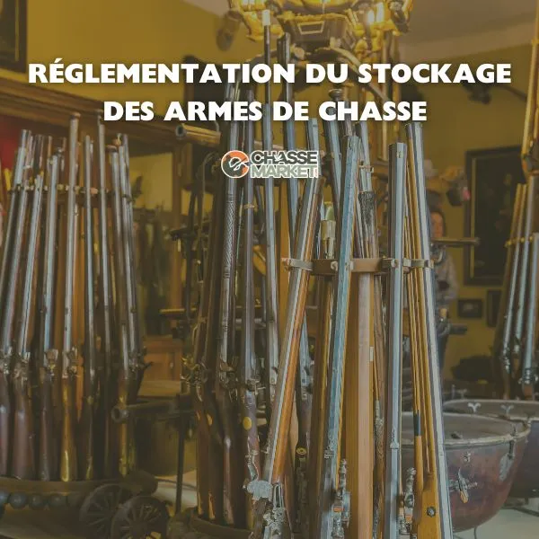 Réglementation du Stockage des Armes de Chasse : Le Guide